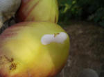 CIMG0065.JPG