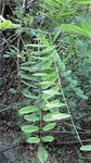 5ec9383f.jpg