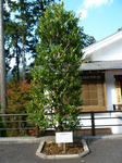 P1010138.JPG