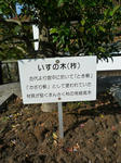 P1010139.JPG