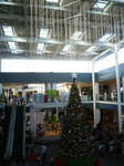 P1010357.JPG