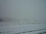 P1010480.JPG