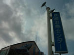 P1010807.JPG