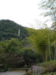 P1010946.JPG