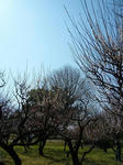 P1020320.JPG