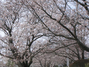 06122d02jpeg