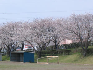 57ee069cjpeg