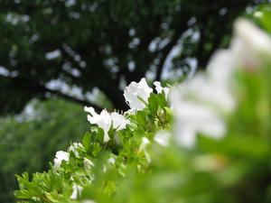 9a3a5978jpeg