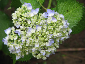 08c357f1.JPG