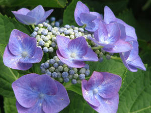2008.06.15-16-2.JPG