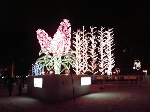 P1000008.JPG