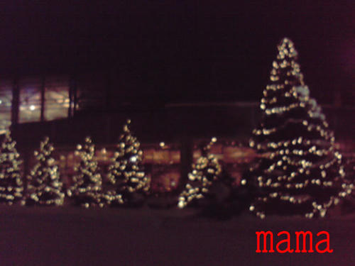 P1000005-1.jpg