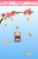 sakura.JPG