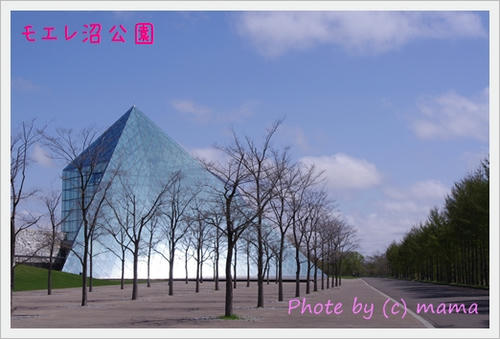 IMGP0153.JPG
