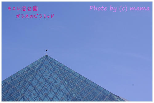 IMGP0154.JPG
