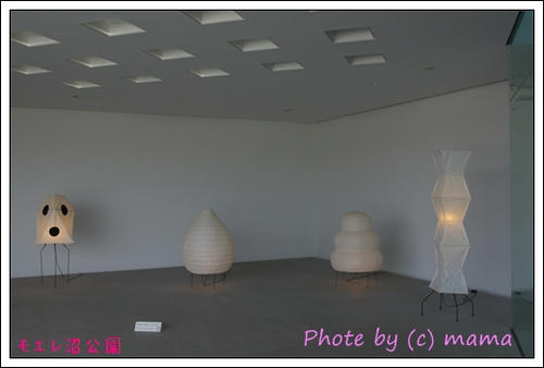 IMGP0159.JPG