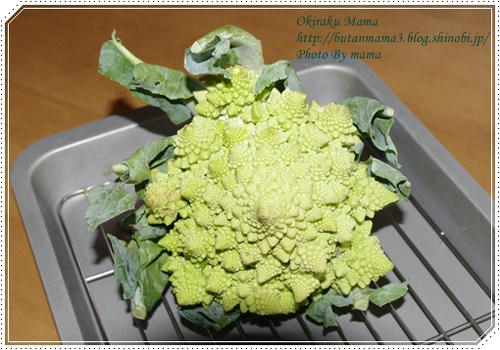 Romanesco.jpg