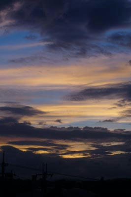 P1000261.JPG