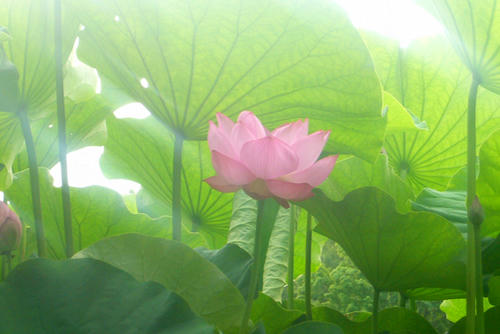 P1000097.JPG