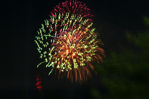P1000065.JPG