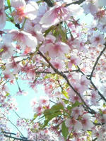 080322_0901~01.JPG
