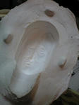 090702_2041~0001.jpg