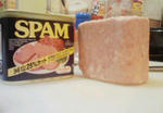 spam.jpg