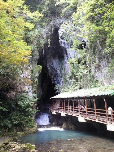 中は涼しい秋芳洞