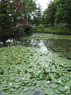 池
