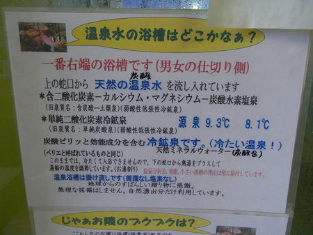 掲示物