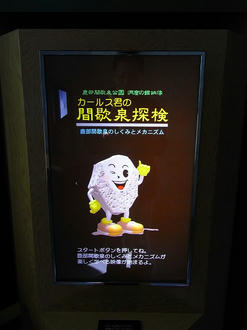 カールス君