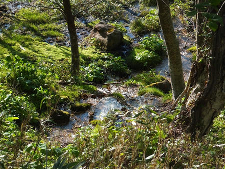 あちこちで湧く