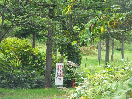 立ち入り禁止