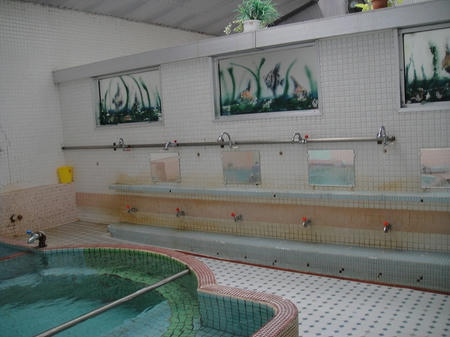 熱帯魚