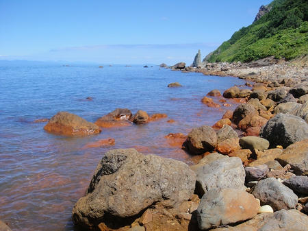 強く染まる海岸