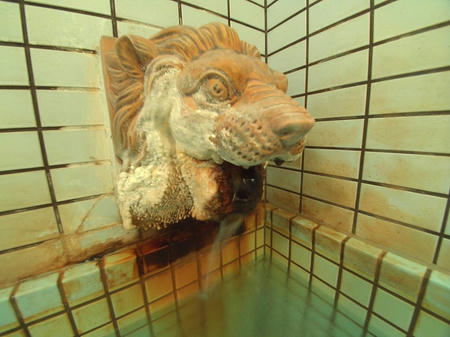 ライオン