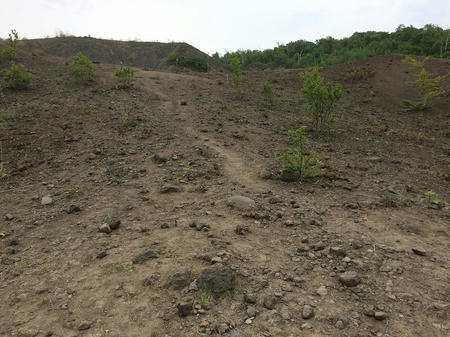 火山の景色