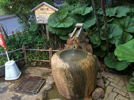 薬壺の手湯