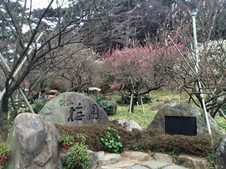 熱海梅園