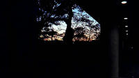 twilight