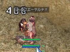 garapago01.jpg