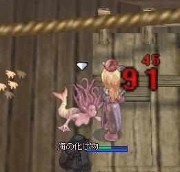 puri02.jpg