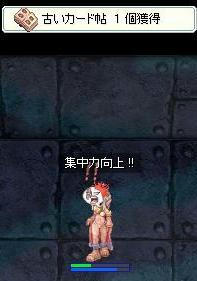 ka-dochou01.jpg