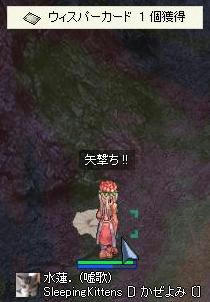 9801.jpg