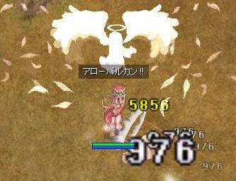 last1.jpg