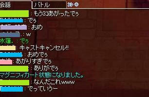 last5.jpg