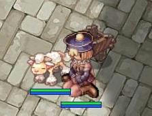 wataame.jpg