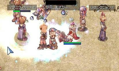 kinokohakkou4.jpg