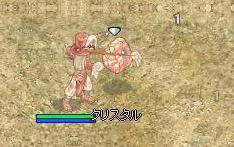 aniba03.jpg