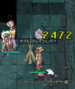 aniba09.jpg